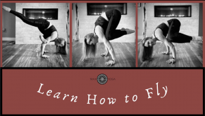 Learn How To Fly @ Trax Yoga | Fairbanks | Alaska | United States